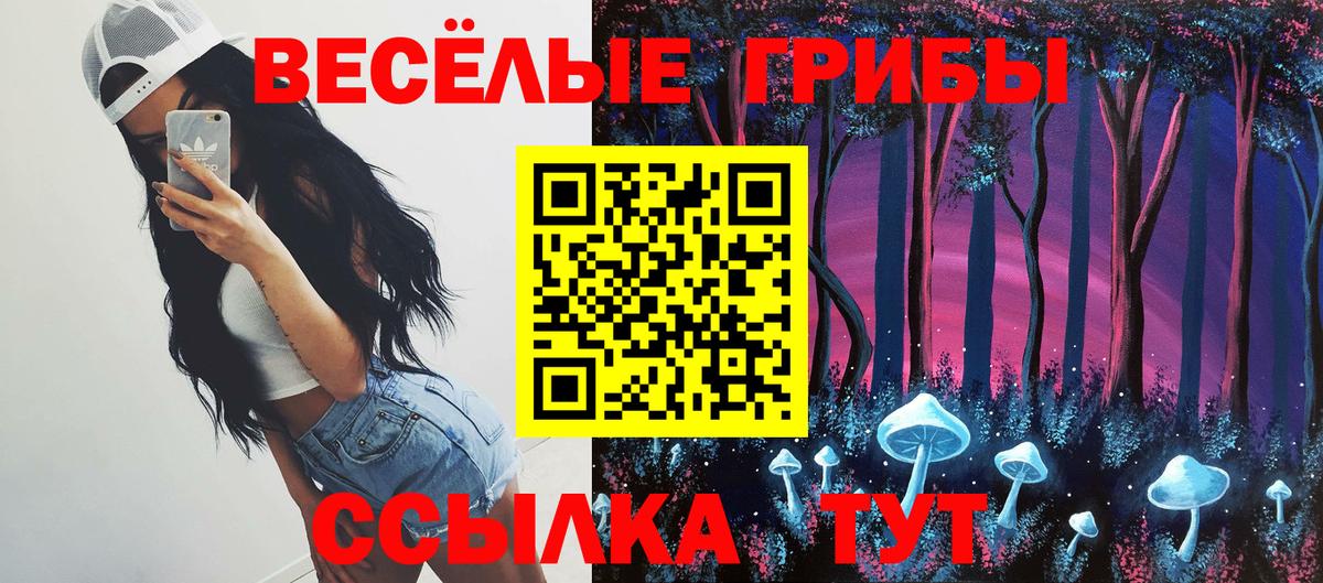 Михайловск  Псилоцибиновые грибы ЛСД  Вход с VPN 